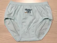 ●男の子●小学生●恐竜柄●水色●ブリーフ●150cmサイズ程度●前開き●1枚●