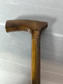 Item thumbnail for item 42b98b7c-2d9b-4780-9200-e7b9626bbdfb