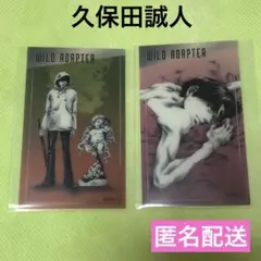 WILD ADAPTER、ワイルドアダプター、クリアカード、久保田誠人