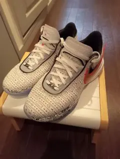 NIKE バスケットボールシューズ レブロン20EP 29.0cm (中古品)
