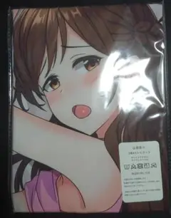 【抱き枕カバー】彼女、お借りします かのかり 水原千鶴 ⑪-3