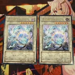 遊戯王 月影龍クイラ レリーフ ABPF-JP043 2枚
