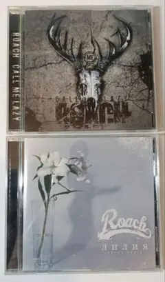 Roach Call Me Lazy & Лилия 2枚組