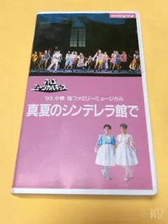 入手困難 廃盤VHSビデオ★真夏のシンデレラ館で アルゴミュージカル 小椋佳