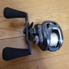 タトゥーラTW300L 6.3 TATULA 300 スタジオコンポジット