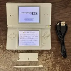 ☆充電器付き☆Nintendo ニンテンドーDS Lite クリスタルホワイト