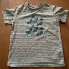 The North Face 半袖Tシャツ 150サイズ グレー