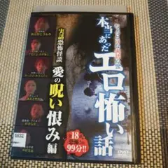 レンタル落ち DVD 本当にあったエロ怖い話 実話恐怖怪談 愛の呪い恨み 編