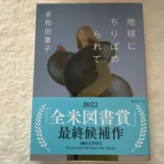 地球にちりばめられて