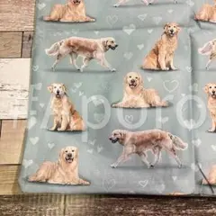 ゴールデンレトリバー ブルー 水色 クッションカバー 座布団カバー イヌ 犬