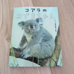 2025年最新】多摩動物公園 コアラの人気アイテム - メルカリ