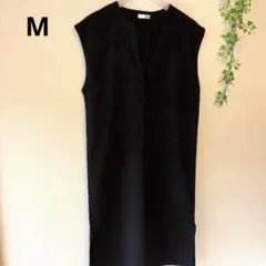 Item thumbnail for item 0fae1e5e-5cf0-439a-89d9-97956e66442c