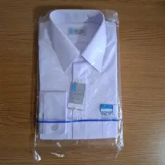 Item thumbnail for item adc630ce-4b3f-4228-9b2f-5f250fa1bc37