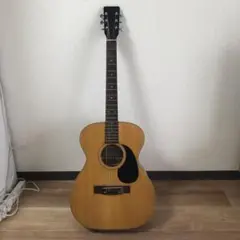 Kawai 河合楽器 アコースティックギター アイボリー 花デザイン Kawai 河合楽器 アコースティックギター アイボリー 花デザイン