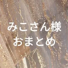 みこさん様 リクエスト 2点 まとめ商品