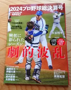 週刊ベースボール別冊新春号　2024プロ野球総決算号