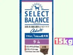 Item thumbnail for item d33a663f-4156-4a5c-8cd4-0e6db836dee6