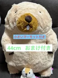 【新品タグ付き】 マーモットのもっとっとっと ウルトラ ぬいぐるみ ボバくん