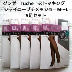グンゼ　トゥシェ　Tuche ストッキング　 シャイニープチメッシュ　М〜L