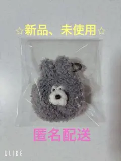 ブランチブラザーズ Airpodsケース