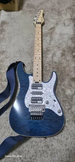2025年最新】schecter sd-2-24の人気アイテム - メルカリ