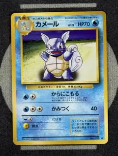 【10点2500円引き】カメール