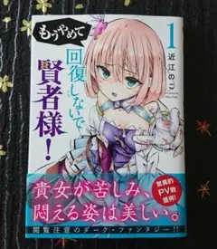 もうやめて回復しないで賢者様! 1