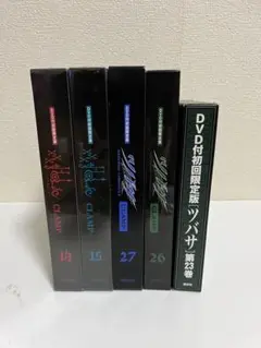 xxxHOLiC DVD