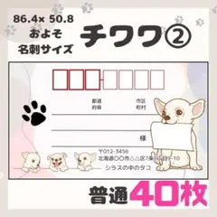 【チワワ②】宛名シール　差出人シール　普通サイズ　40枚　シンプル　動物　犬