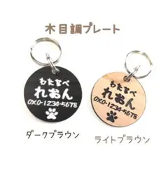 Item thumbnail for item 9acd6d80-6904-4274-9d0f-7dea38262f50