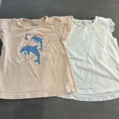 petit main イルカプリント Tシャツ 100cm