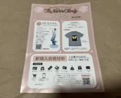 西野カナ チラシ 非売品