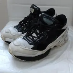 SIMONS x ADIDAS REPLICANT OZWEEGO オズウィーゴ