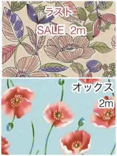 Item thumbnail for item 767acd58-7d93-4197-84c2-6706a08ed3ae