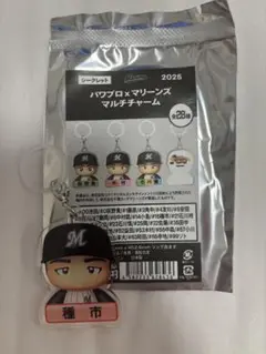 パワプロ、マリーンズ、マルチチャーム、種市