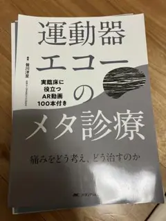 運動器エコーのメタ診療　裁断済み