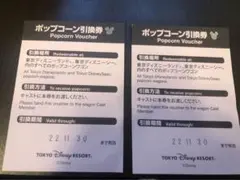 TDL ディズニー ポップコーン引き換え券