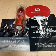 Jリーグ ワールドチャレンジ 2025 記念グッズ