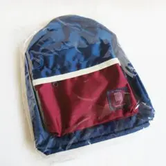 リュック バックパック 子供用品 デイバック スクールバック 遠足 キッズバック
