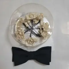 Item thumbnail for item ef041a78-6dc9-481d-a0c3-15800bdc6892