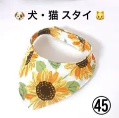 Item thumbnail for item 884e3af4-8177-4e83-b739-f6033d95e26c