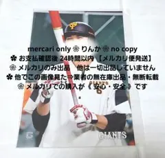 766　10日限定値下げ　プロ野球　坂本勇人　巨人　読売巨人軍　写真　フォト