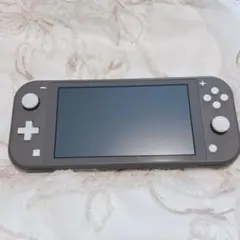 Nintendo Switch Lite Gray 本体