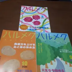 ハルメク 8月号、9月号、10月号 2024の3冊セッ