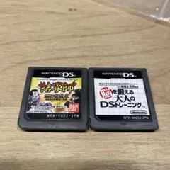 DSソフト2本セット