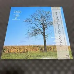 【美品】George Winston AUTUMN レコード