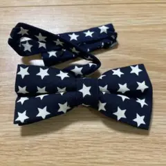 Item thumbnail for item 66422b23-70de-4312-9bfb-9e1af5fd6c49