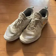 Item thumbnail for item 4034cae3-700a-4807-967c-1861c19a18ec