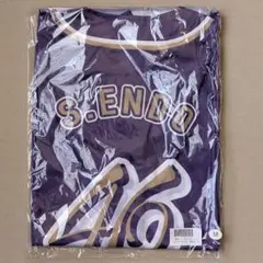 Item thumbnail for item d2723e35-113b-49a3-af0e-71c0c1ac8a41