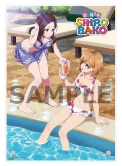 SHIROBAKO ゲーマーズ A4アクリルアートパネル＆宮森あおい電話音声CD